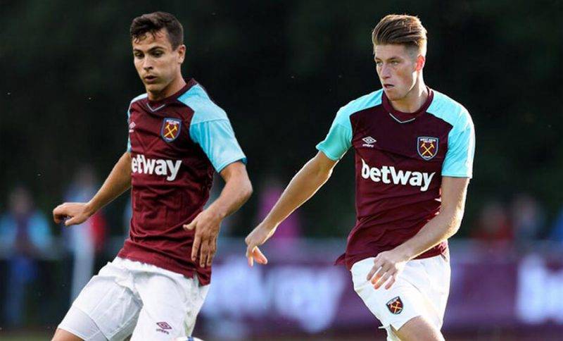 新鵬城近期 新鵬城近期